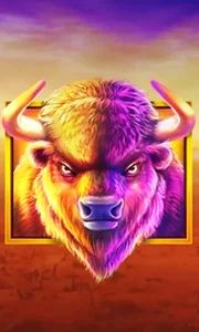 Buffalo King