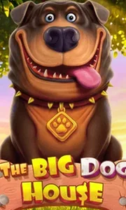 The Big Dog House